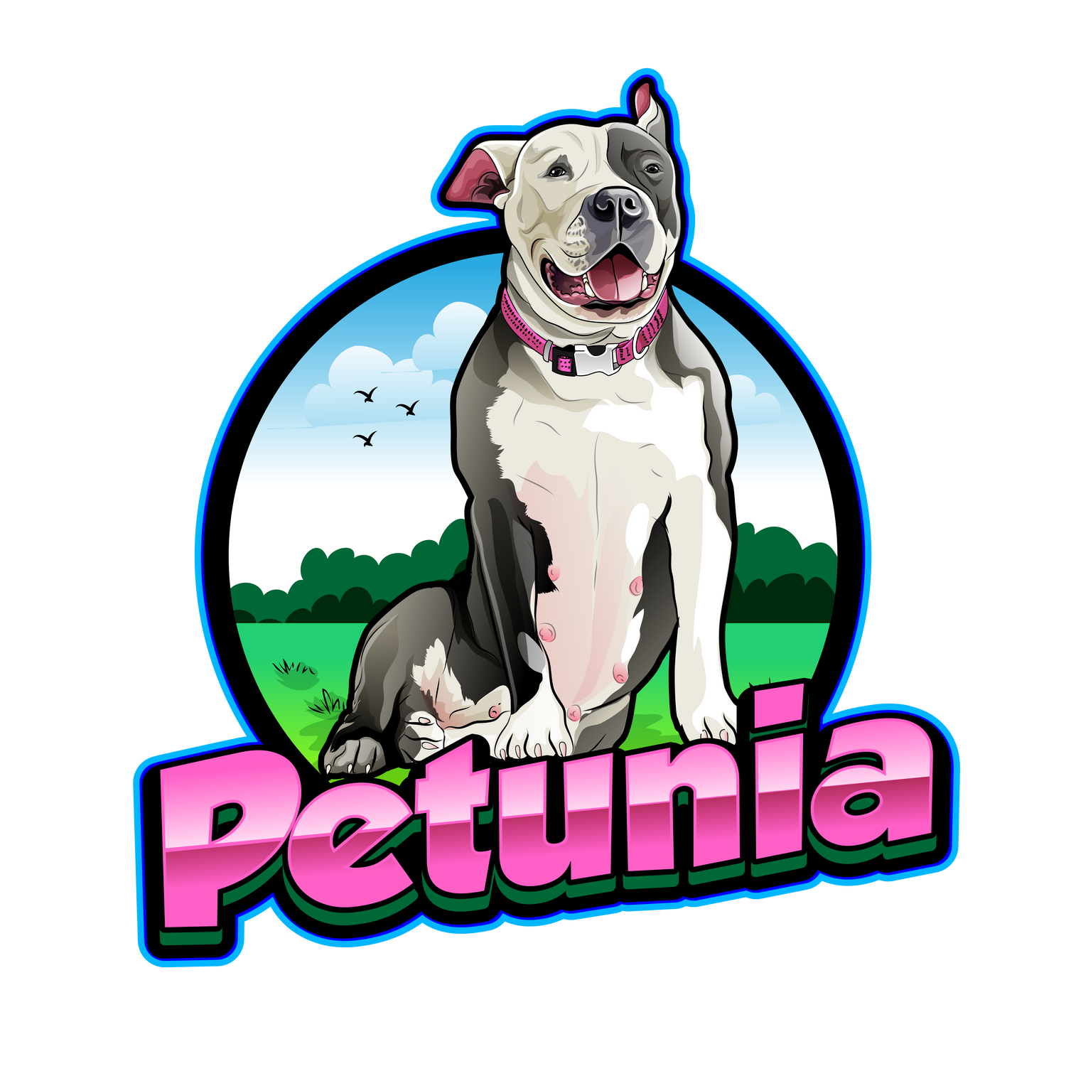 Paws for Petunia